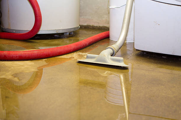 Best Water Damage Assessment and Inspection in USA